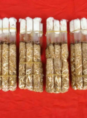 天麻蜜环菌萌发菌母种一级试管