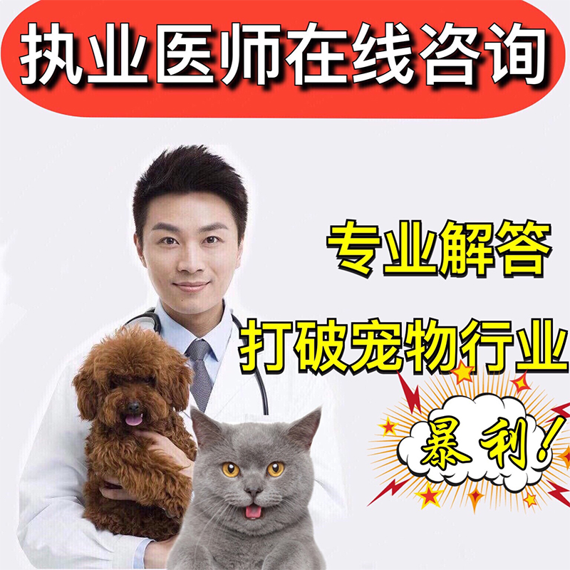 宠物咨询（宠物资讯网站）