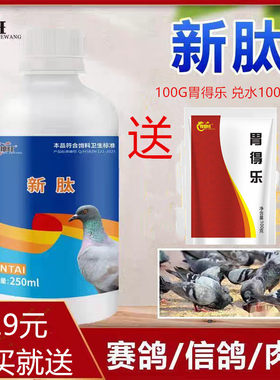 新泰新肽信鸽嗦囊积食鸽子