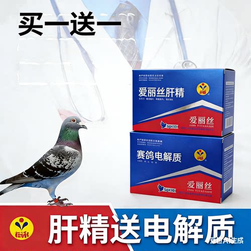 爱丽丝赛鸽病后肝精粉 调理肝肾产品 鹦鹉信鸽用鸟恢复体能紫胸