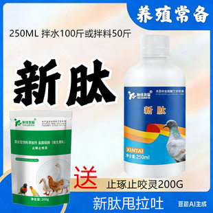 新肽鸽药鸽子甩拉吐特效鸡鸭鹅鸽鹦鹉啄蛋啄羽止啄新城意心肽新泰