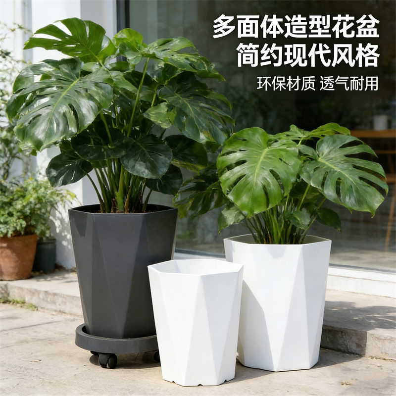 新款大型绿植天堂鸟落地客厅特大花盆