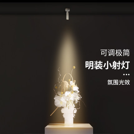 明装小射灯客厅吸顶背景墙照画可调小角度3w博物馆led迷你聚光灯
