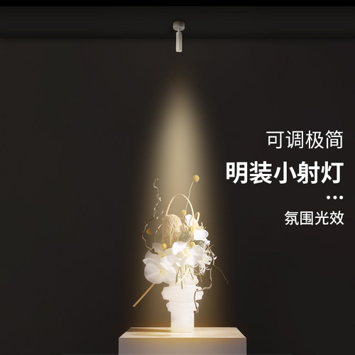 可调小角度明装小射灯