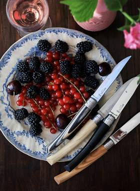 法国进口Opinel欧皮耐尔木柄不锈钢西餐牛排刀4件套礼盒套装家用