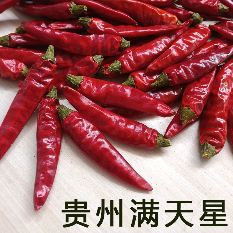 贵州绥阳辣椒特辣小米辣 红干椒香辣朝天椒250g七星椒 遵义满天星