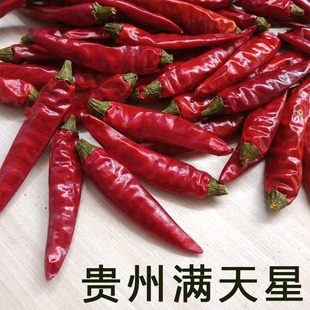 贵州绥阳辣椒特辣小米辣 红干椒香辣朝天椒250g七星椒 遵义满天星