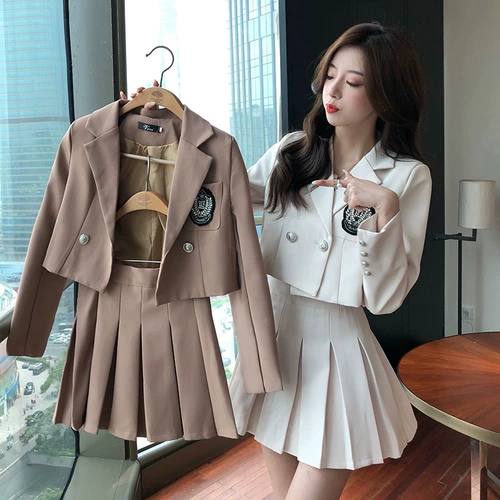 Комплект, пиджак классического кроя, юбка в складку, высокая талия