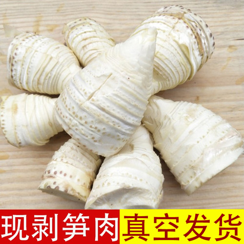 冬笋新鲜现挖笋子肉现剥现发竹笋肉江西黄泥冬笋去壳笋肉