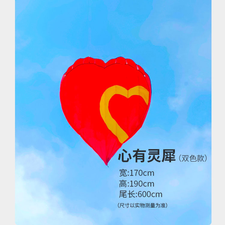 荔华软体风筝无骨架易携带易飞