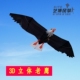 潍坊风筝白头鹰前撑杆老鹰风筝 仿真立体伞布微风新款 高档风筝