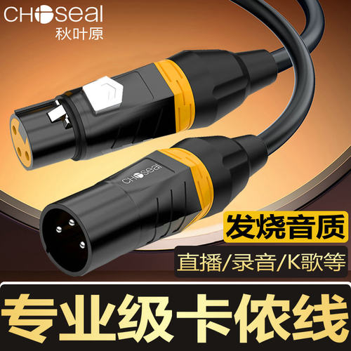 秋叶原卡侬音箱功放调音台音频线