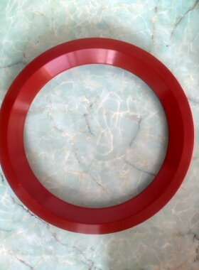 高温插入式圆顶阀密封圈P17460C-01P17461C-01P19081C-01