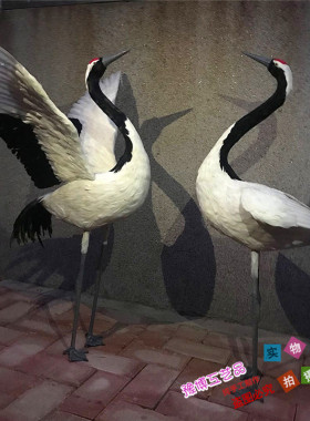 室内仿真道具园林橱窗摆件丹顶鹤