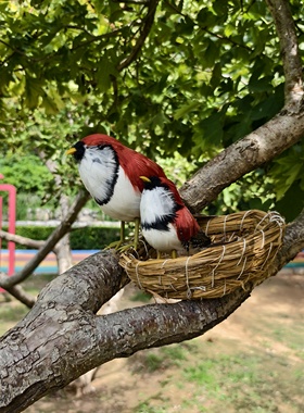 仿真羽毛小鸟伯劳鸟装饰摆件