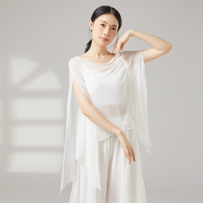 古典舞宽松网纱飘逸上衣罩衫民族风国风练功服透视舞蹈服演出服装