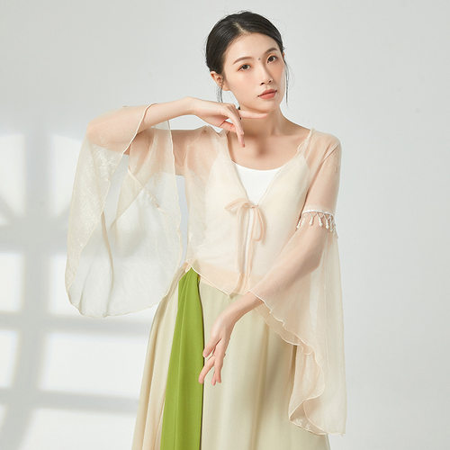 古典舞飘逸纱衣演出练功服中国舞