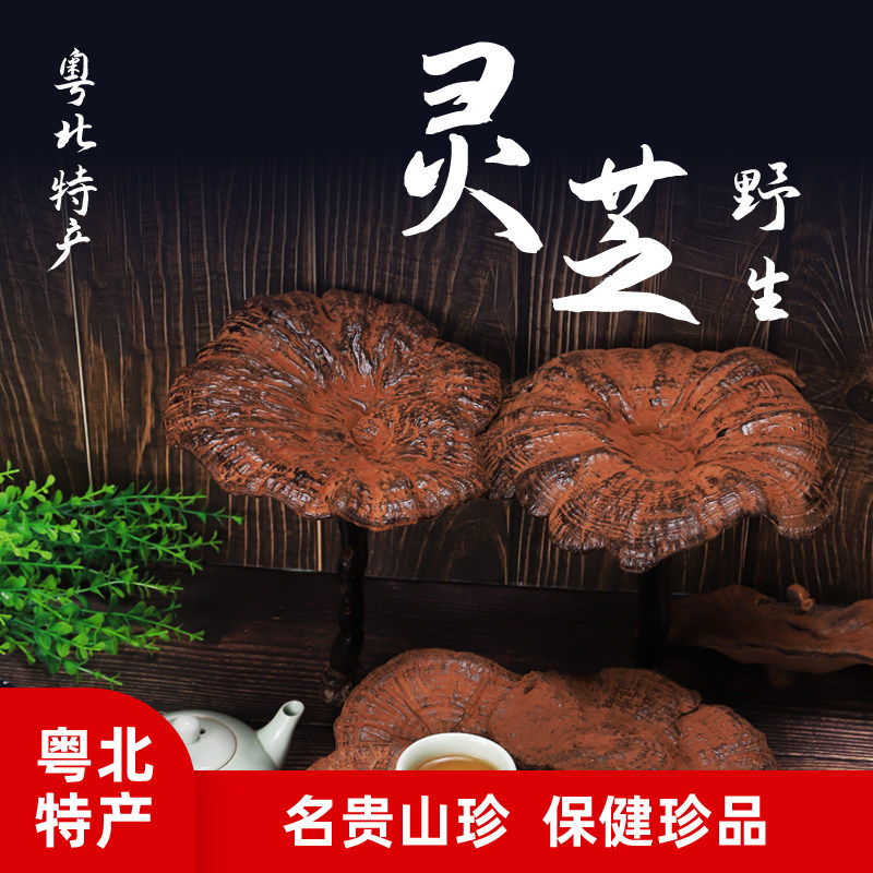 黑灵芝干货正品 深山野生粤北韶关始兴特产孢子粉灵芝泡茶泡酒1斤