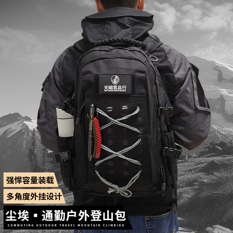 WZJP无贼强袭者战术20L通勤DUST户外EDC登山龙蛋双肩背包尘埃礼品