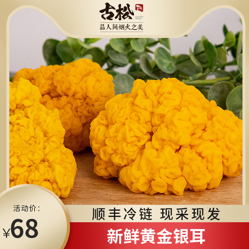 古松福建古田特产新鲜金耳500g