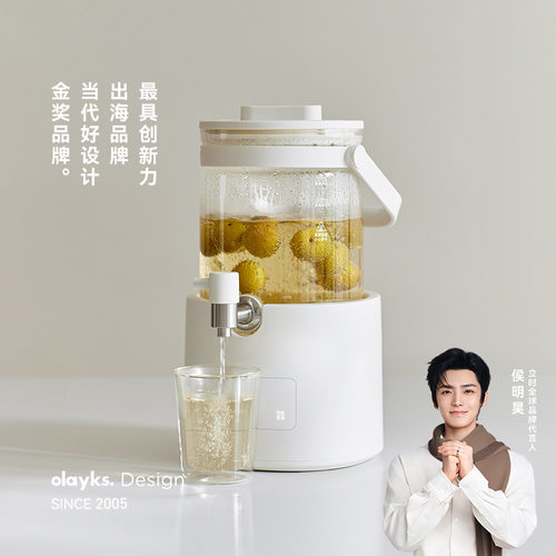 养生壶2025新款全纯玻璃养生煮花