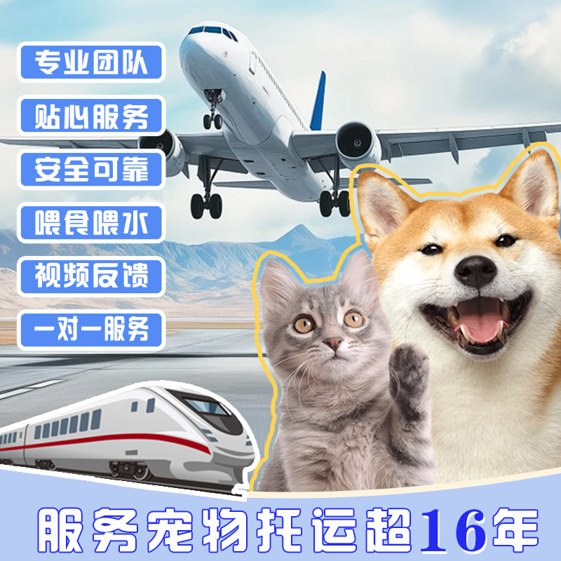 福州厦门泉州宠物托运宠物随机托宠物托运