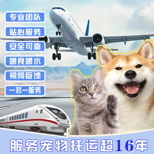 福州厦门泉州宠物托运宠物随机托运手续办理宠物进客舱飞机火车