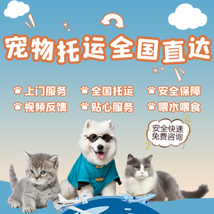 乌鲁木齐宠物托运宠物随机手续办理宠物进客舱飞机高铁托运宠物
