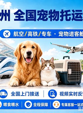 郑州全国宠物托运服务宠物随机手续代办宠物进客舱航空高铁专车
