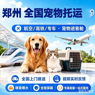 郑州全国宠物托运服务宠物随机手续代办宠物进客舱航空高铁专车