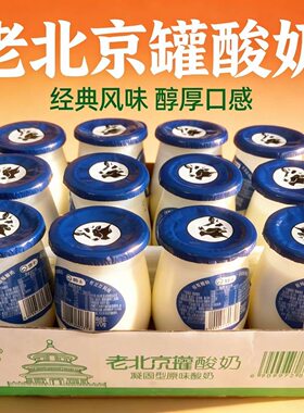 骑士老北京酸奶170g*12瓶传统工艺特产乳酸菌童年风味发酵