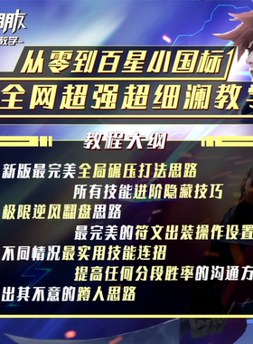 【澜朋友出品】王者荣耀国服澜学会轻松小国标超细超全澜教程