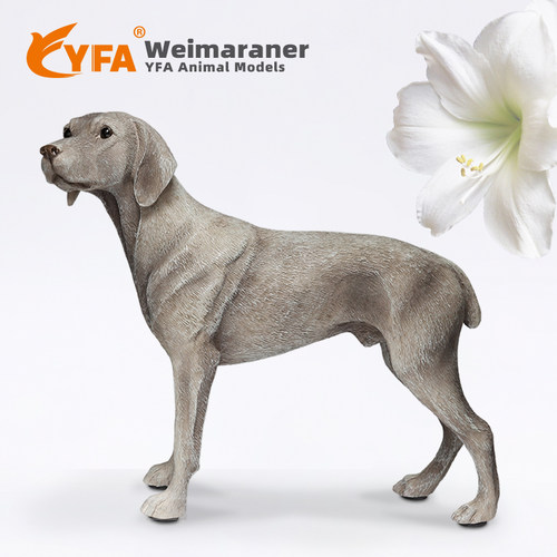 YFA模玩威玛犬仿真模型车载摆件