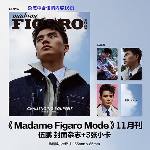 费加罗杂志11月伍鹏封面