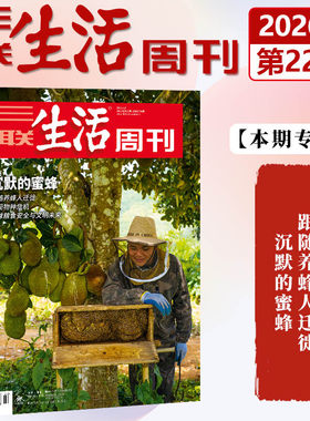 现货正版 三联生活周刊杂志2026年6月第22期 沉默的蜜蜂 跟随养蜂人迁徙 发现物种危机 全球粮食安全与文明未来 六月期刊