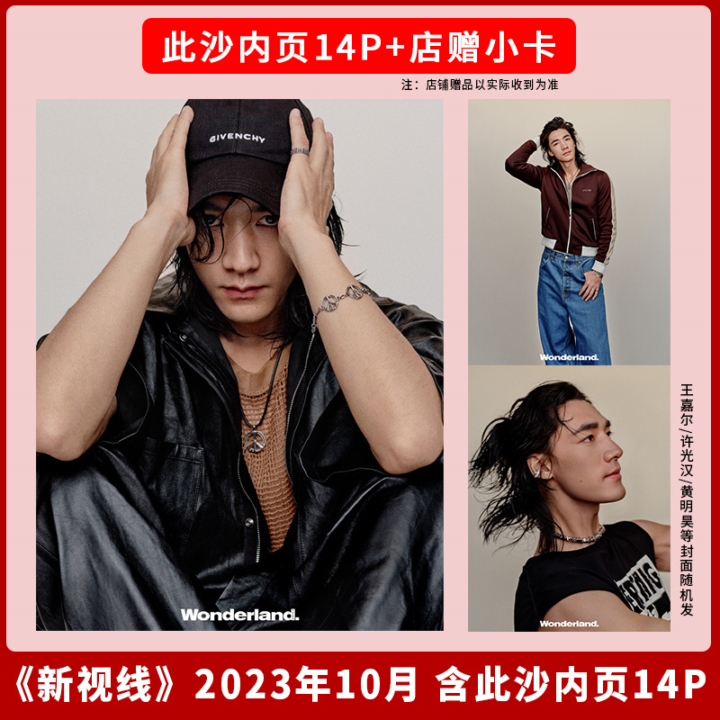 新视线2023年10月此沙内页