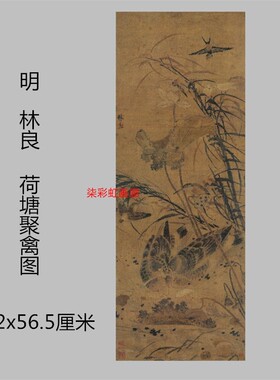 明代林良荷塘聚禽图工笔写意花鸟装饰画学习临摹画稿范本微喷制作
