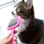 Silicone bảo vệ đầu hạt nhỏ thú cưng chó mèo chải nhỏ chó lược chải kim làm sạch tóc - Cat / Dog Beauty & Cleaning Supplies lược chải lông