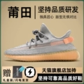 European Grey Orange