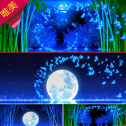 版纳印象 唯美竹林竹海月亮月光 傣族舞蹈  民族舞蹈  视频素材