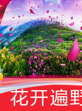 【花开遍野】漫山鲜花飘舞 舞台LED背景高清视频素材制作节目表演