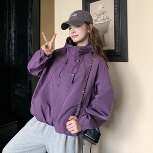 现货-紫色防风防水冲锋外套306-AW71-p155-k238图片