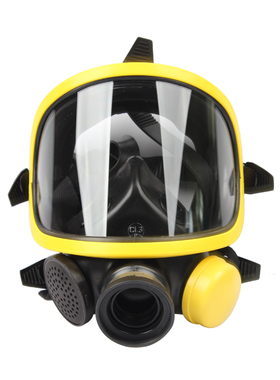 霍尼韦尔巴固呼吸器配件呼吸器PANO全面罩 1710397  C900/C850