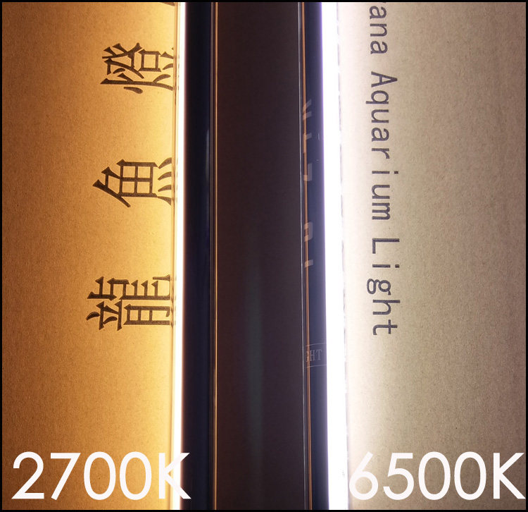 T5红龙发色灯管铺色去垢2700k黄光/6500K白光金龙鱼灯红龙烤色灯