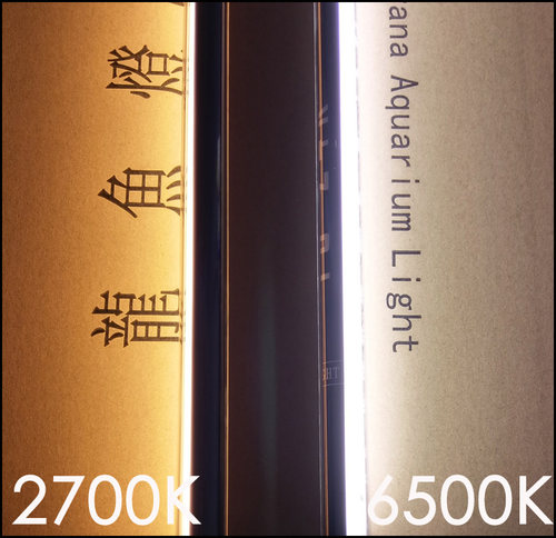 ProKanoda红龙灯铺色铺框去垢灯