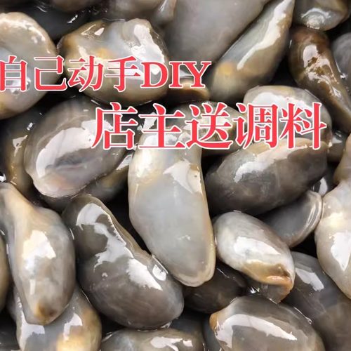 泥螺即食自己动手加工腌制
