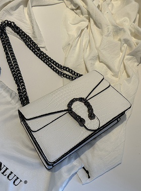 Clean Knоck酒神女包高级感小众包包女2026新款百搭斜挎包链条包