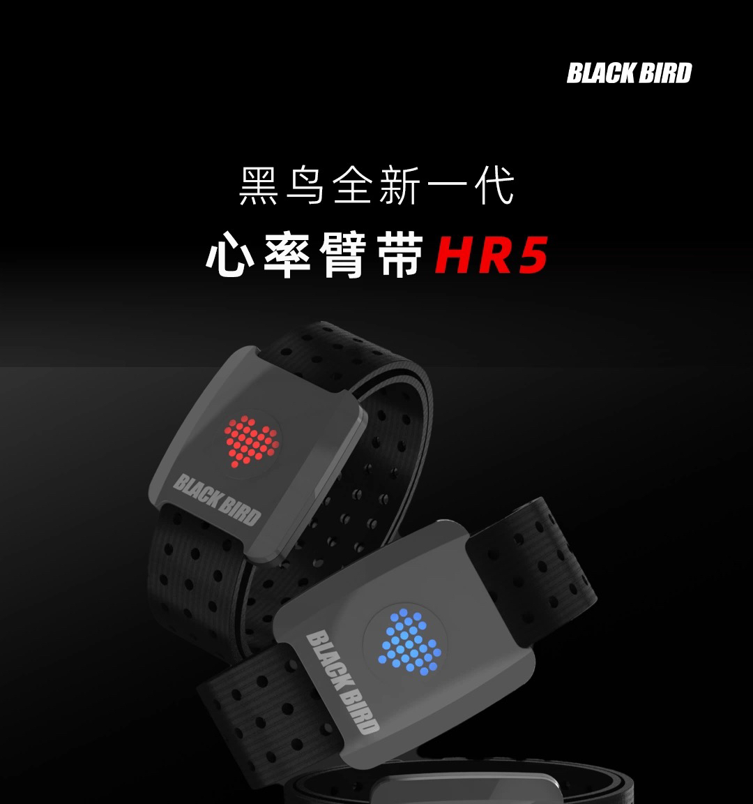 黑鸟HR5心率臂带蓝牙心率监测运动跑步骑行运动户外防水