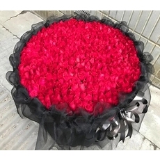 武汉999朵玫瑰生日求婚鲜花速递