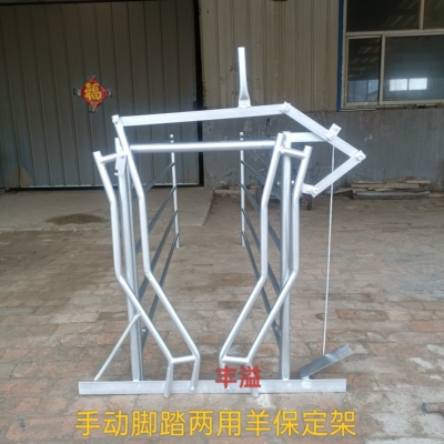 羊用配种架保定架羊颈夹绑定架羊场防疫通道可用于打针灌药